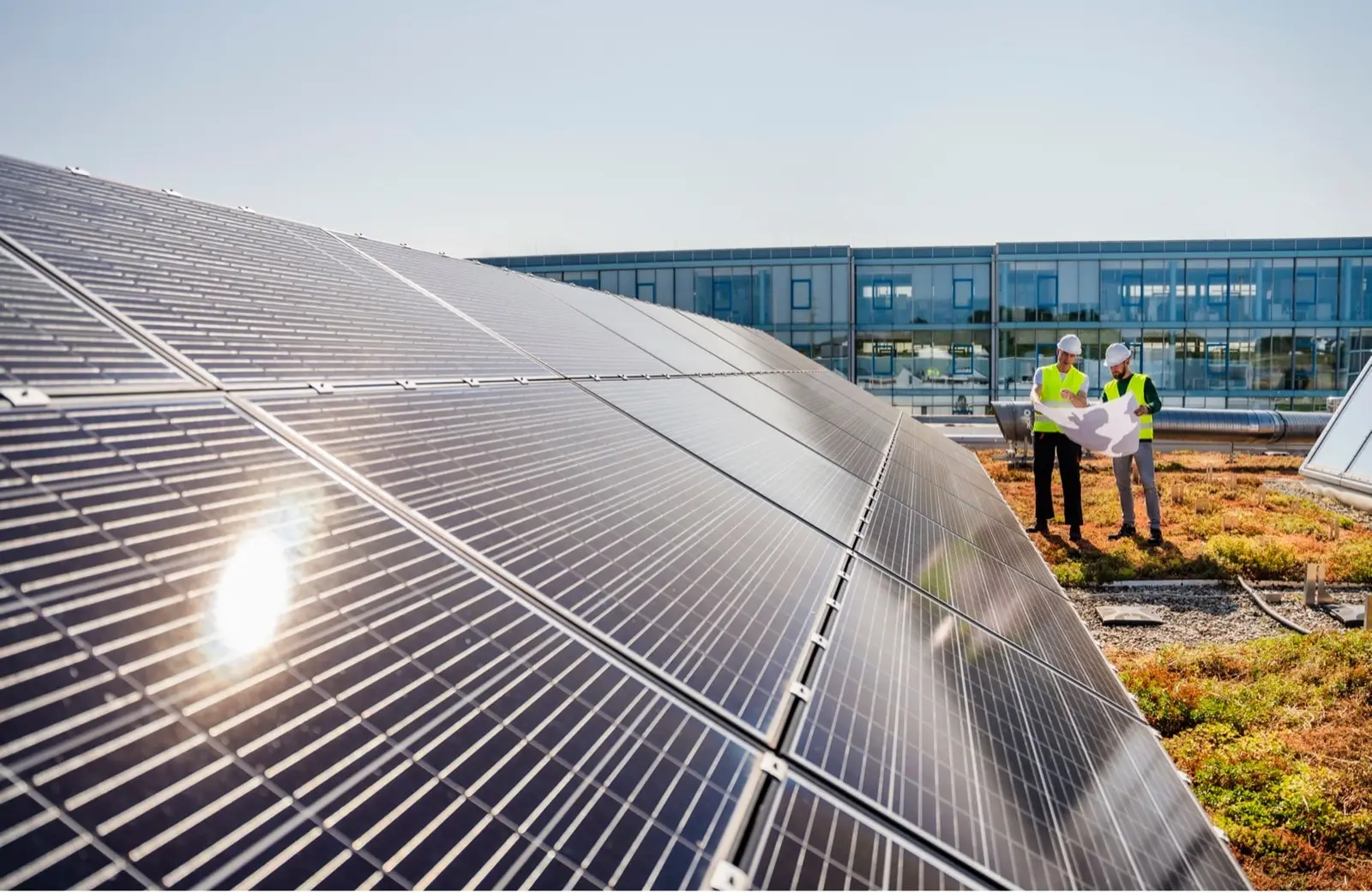 Photovoltaikanalage auf einem bepflanzten Dach